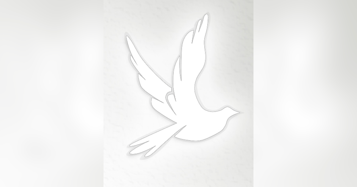 stockdove-v2-sm-877BQp