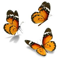 obit_placeholder_17-LeSX7S